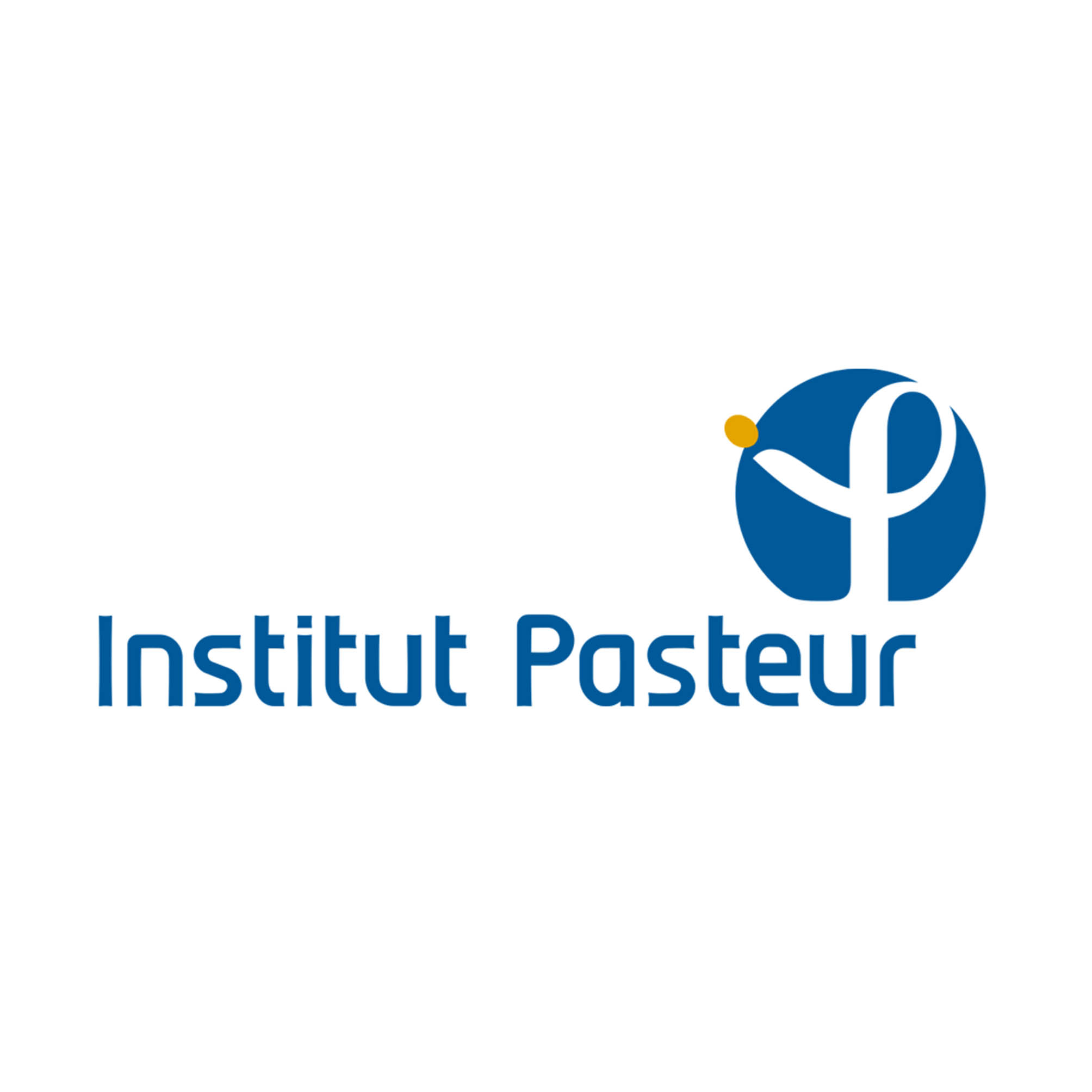 Institut Pasteur